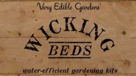 Building Wicking Beds in Melbourne 28