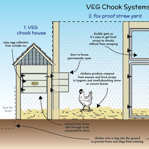 chicken systems