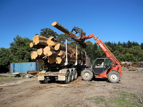 cypress timber logs on truck