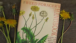 The Weed Forager's Handbook